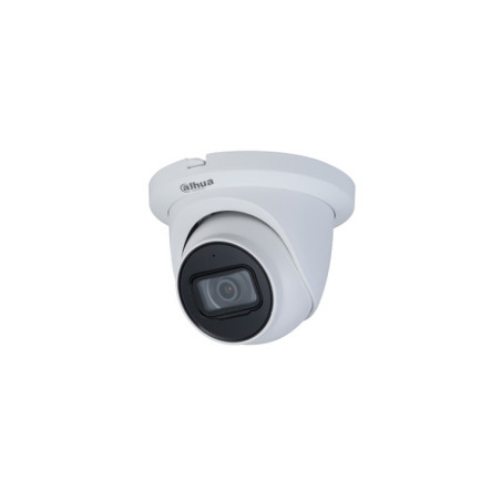 CAMERA IP 4MP WDR EYEBALL STARLIGHT USAR