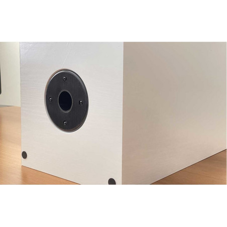 SPEAKER EMPIRE HS290 290W 80-20K HZ RCA