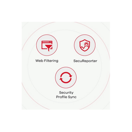 FIREWALL 4P LAN/1WAN/1USB.VPN ZYXEL ESPA