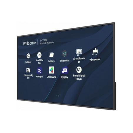 MON 43DS UHD MM DVI HDMI VESA 4K 500NIT