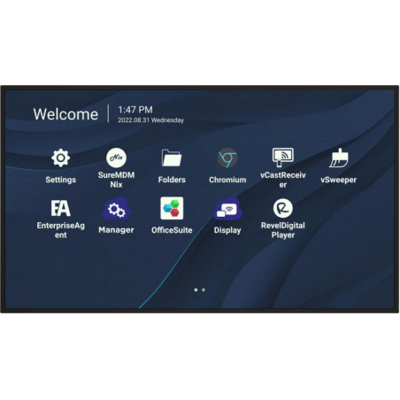 MON 98DS UHD 4K  HDMI AND11 OPS MM USBC