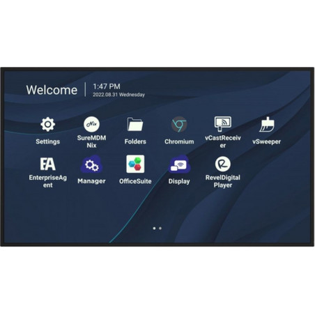 MON 98DS UHD 4K  HDMI AND11 OPS MM USBC