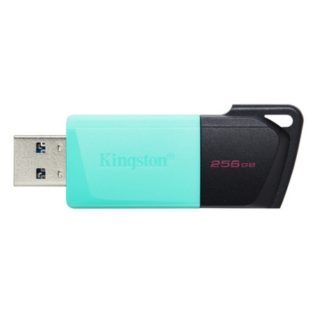 PEN DRIVE 3.2 256GB TYPE-A EXODIA M BLAC