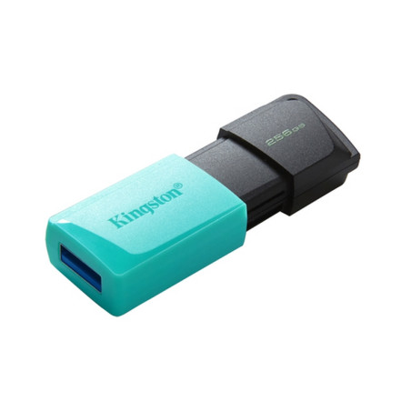 PEN DRIVE 3.2 256GB TYPE-A EXODIA M BLAC