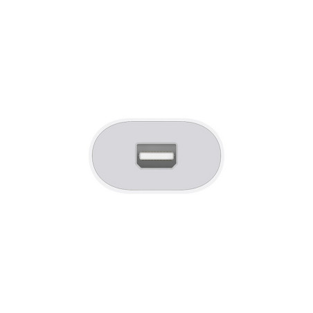 ADATTATORE TB3 (USB-C) TO TB2 APPLE TYPE