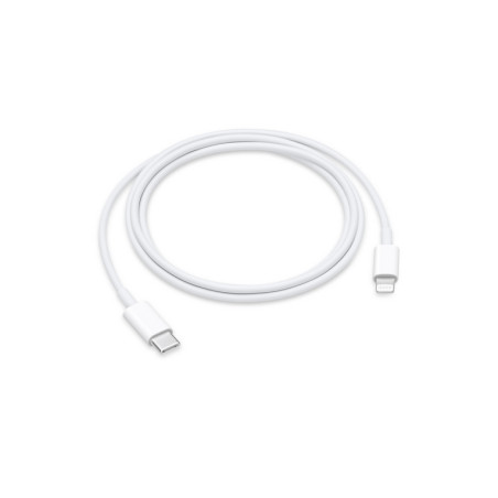 CAVO APPLE USB-C LIGHTNING 1 METRO