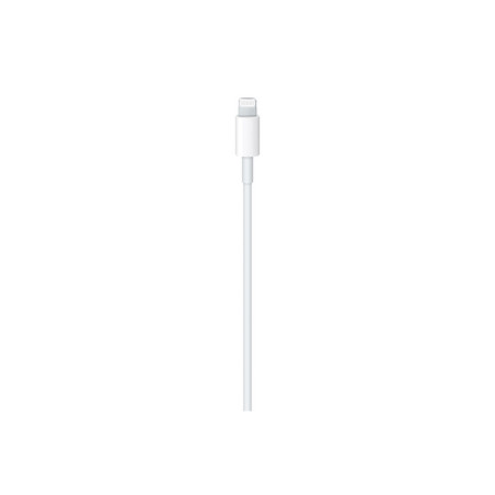 CAVO APPLE USB-C LIGHTNING 1 METRO