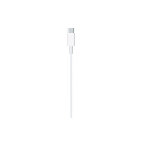 CAVO APPLE USB-C LIGHTNING 1 METRO