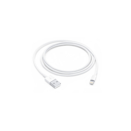 CAVO APPLE USB LIGHTNING 1 METRO