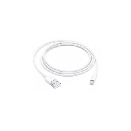 CAVO APPLE USB LIGHTNING 1 METRO