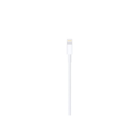 CAVO APPLE USB LIGHTNING 1 METRO
