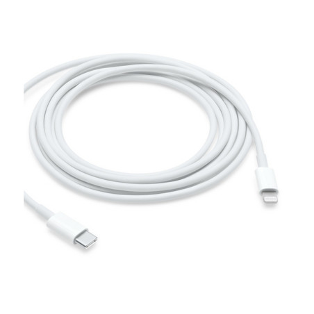 CAVO APPLE USB-C LIGHTNING 2 METRI