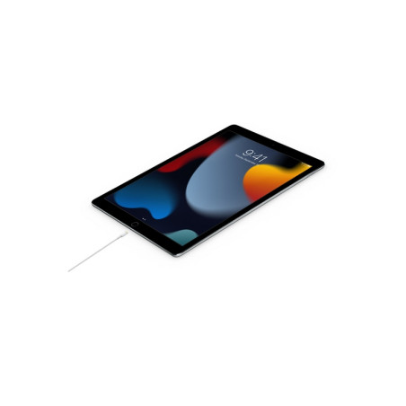 CAVO APPLE USB-C LIGHTNING 2 METRI