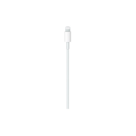 CAVO APPLE USB-C LIGHTNING 2 METRI