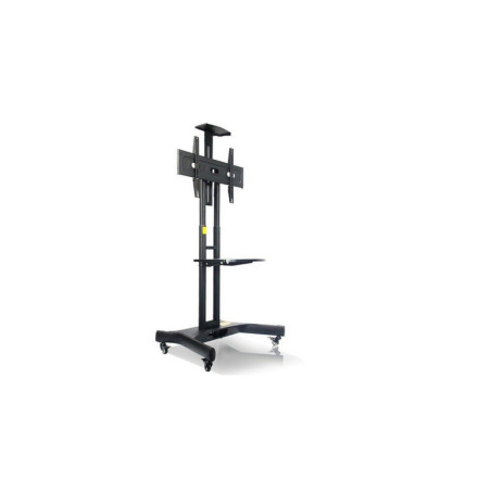 STAFFA  PAVIMENTO PER TV 65 50KG NPF1002