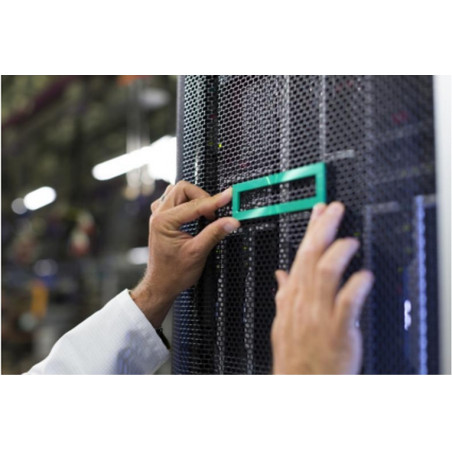 ACCESSORI VARI INTEL HPE DL300 GEN 10+ 2