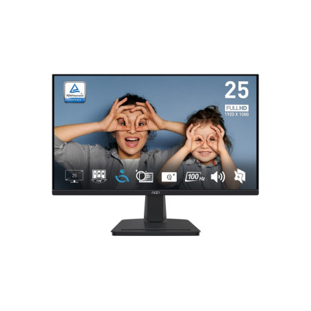 MON 24,5IPS HDMI VGA BK MM 100HZ MSI PRO