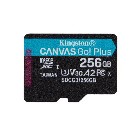 SD MICRO 256GB CL10 UHS-I CON ADATT 170M