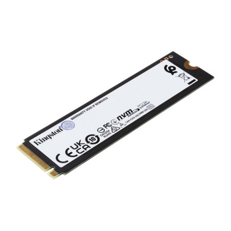 SSD M.2 1TB 2280 FURY RENEGADE PCIE 4.0