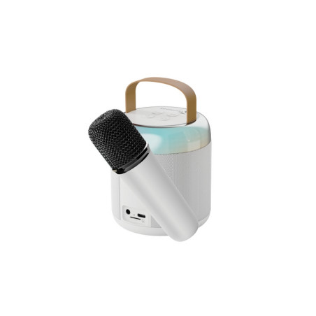 KARAOKE TECHMADE BT SPEAKER+MIC BIA NCO