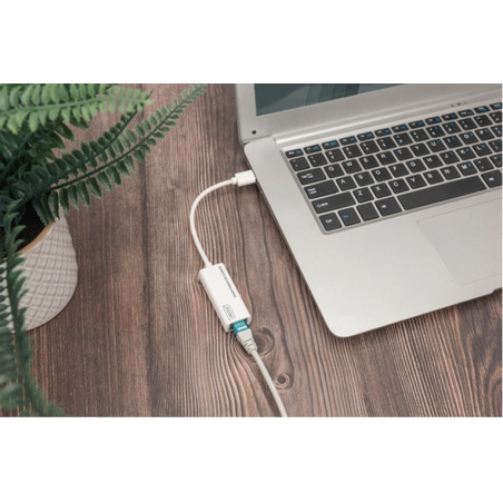 SCHEDA RETE USB/RJ45 USB 3.0 (DN3023)