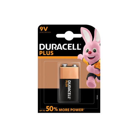BATTERIE ALCALINE 9V (MN1604 PLUS)