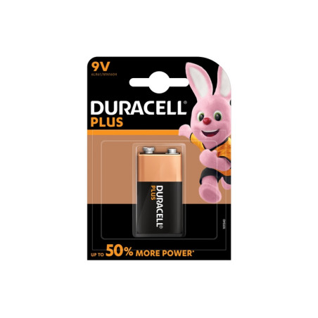 BATTERIE ALCALINE 9V (MN1604 PLUS)