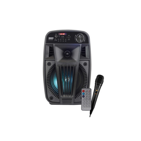 CASSA AUDIO DIFFUSORE AMPLIFICATO V SING