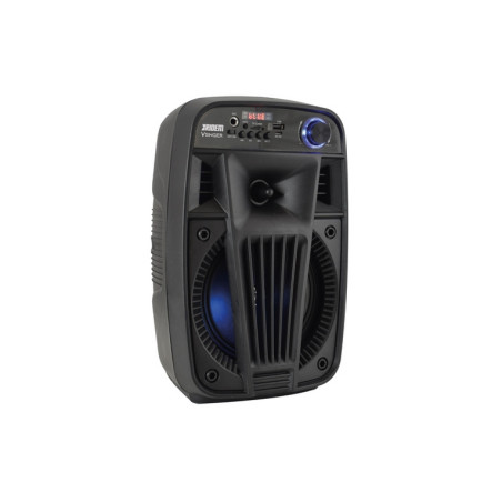 CASSA AUDIO DIFFUSORE AMPLIFICATO V SING