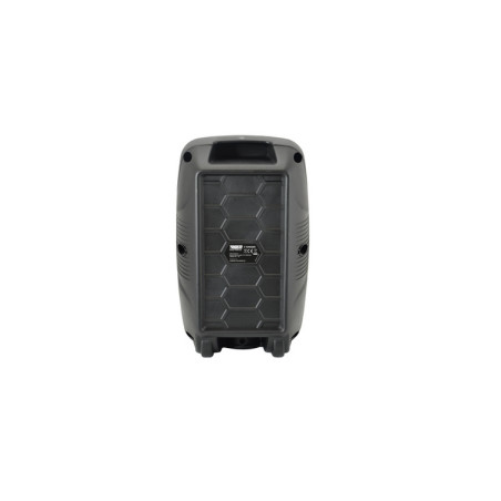 CASSA AUDIO DIFFUSORE AMPLIFICATO V SING
