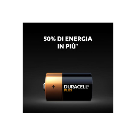 BATTERIE ALKALINE TORCIA D PLUS 1.5V MN1