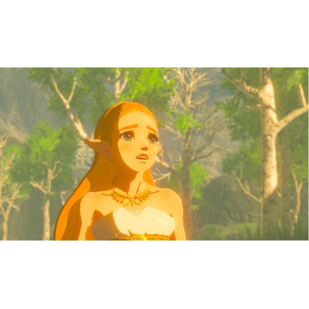 VIDEOGIOCO THE LEGEND OF ZELDA BREATH OF