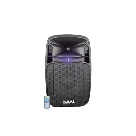 CASSA AUDIO TIGER 15A 410W USB + BT
