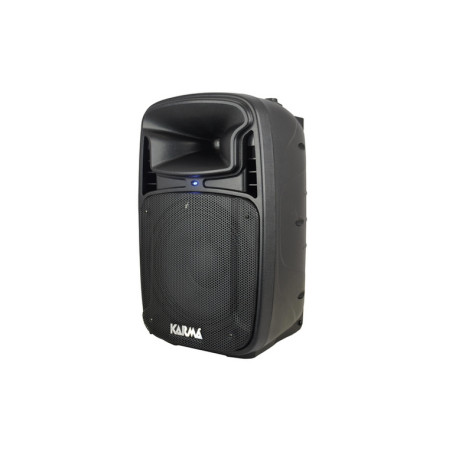 CASSA AUDIO TIGER 15A 410W USB + BT
