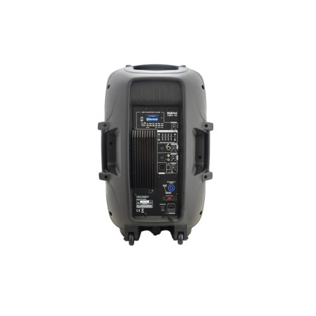 CASSA AUDIO TIGER 15A 410W USB + BT