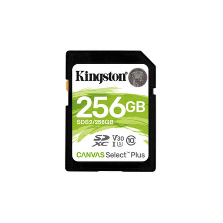 SECURE DIGITAL 256 GB CANVAS SELECT PLUS