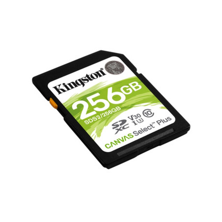 SECURE DIGITAL 256 GB CANVAS SELECT PLUS