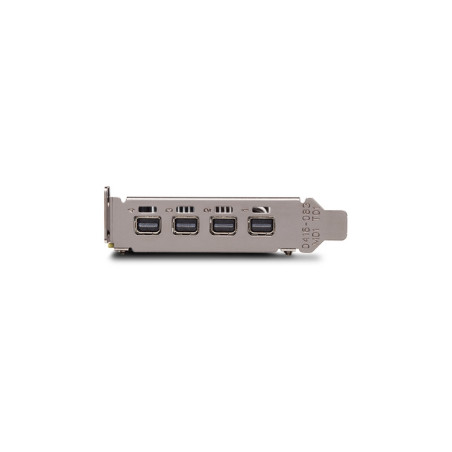 SCHEDA VIDEO QUADRO P1000 V2 DP SMALLBOX