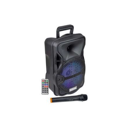 CASSA AUDIO AMPLIFICATO PSB 8 300 WATT C