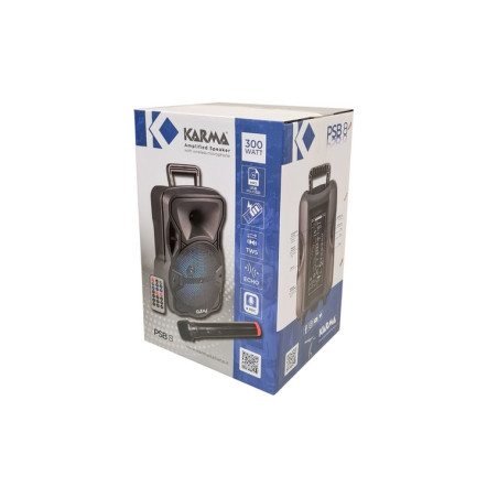 CASSA AUDIO AMPLIFICATO PSB 8 300 WATT C