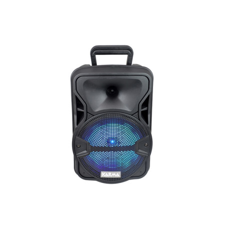CASSA AUDIO AMPLIFICATO PSB 8 300 WATT C
