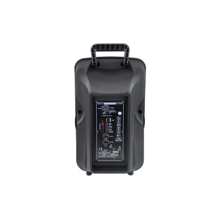 CASSA AUDIO AMPLIFICATO PSB 8 300 WATT C