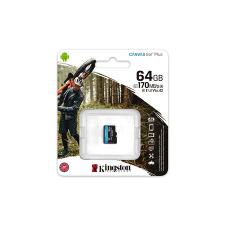 TRANS FLASH 64 GB CANVAS GO PLUS (SDCG3/