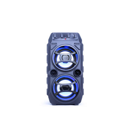 CASSA AUDIO BLUETOOTH SPK-BT-13 CON FUNZ