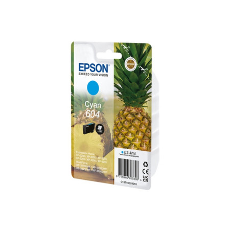 CARTUCCIA ORIGINALE T604 (C13T10G24010)