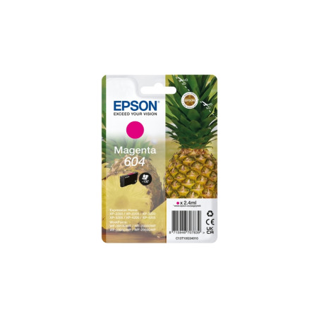CARTUCCIA ORIGINALE T604 (C13T10G34010)
