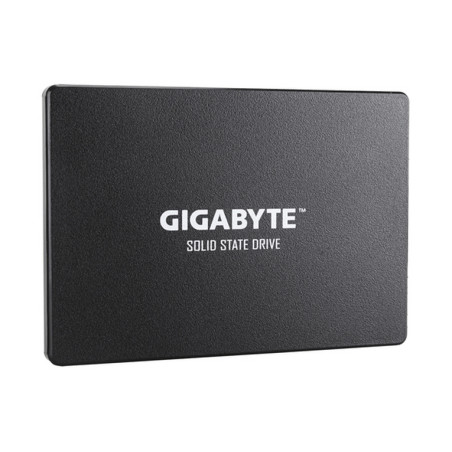 HARD DISK SSD 256GB SATA 3 2.5" (GP-GSTF