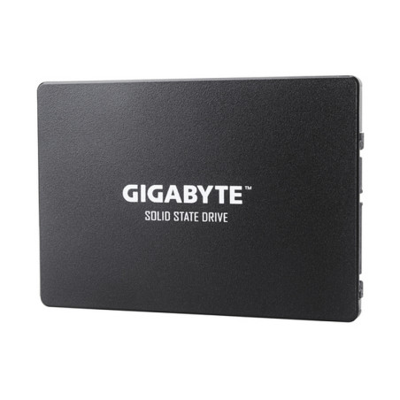 HARD DISK SSD 256GB SATA 3 2.5" (GP-GSTF