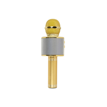 MICROFONO KARAOKE HOLLYWOOD ORO (27837K)