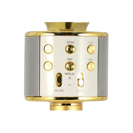 MICROFONO KARAOKE HOLLYWOOD ORO (27837K)